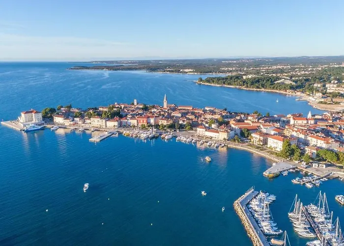 The 3 Figs 招待所 3*