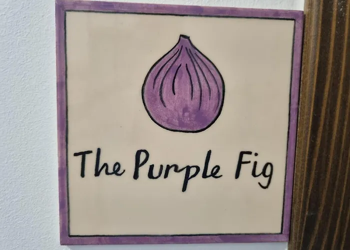 The 3 Figs 招待所 波雷奇